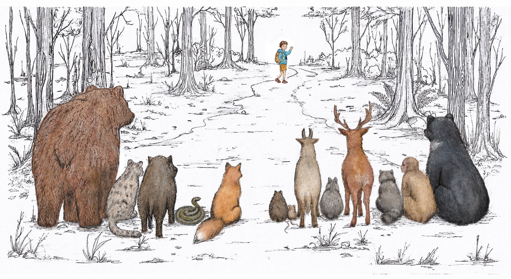 Ink and watercolour: thirteen Japanese animals sit in a row along a forest path, watching Kintaro walk ahead and wave back to them